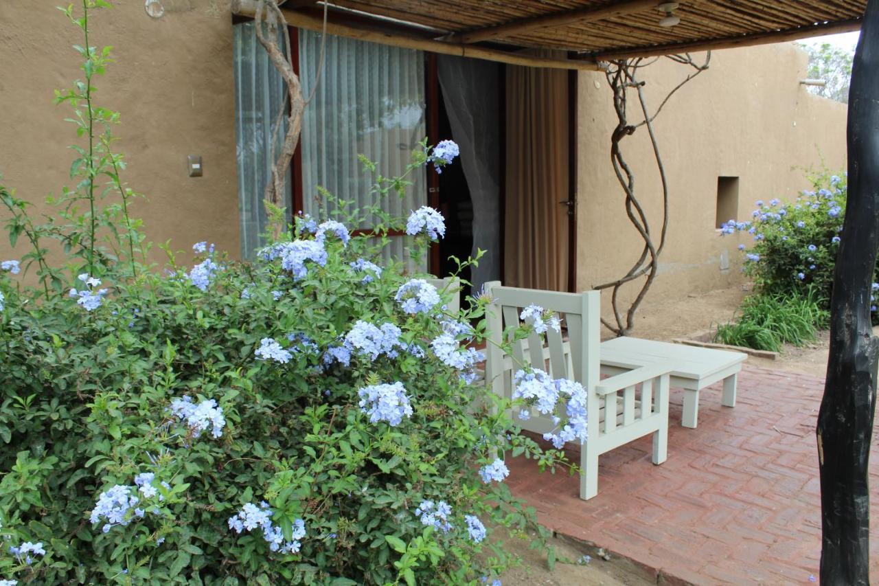 Lodge De Sol Y Barro Moche Trujillo