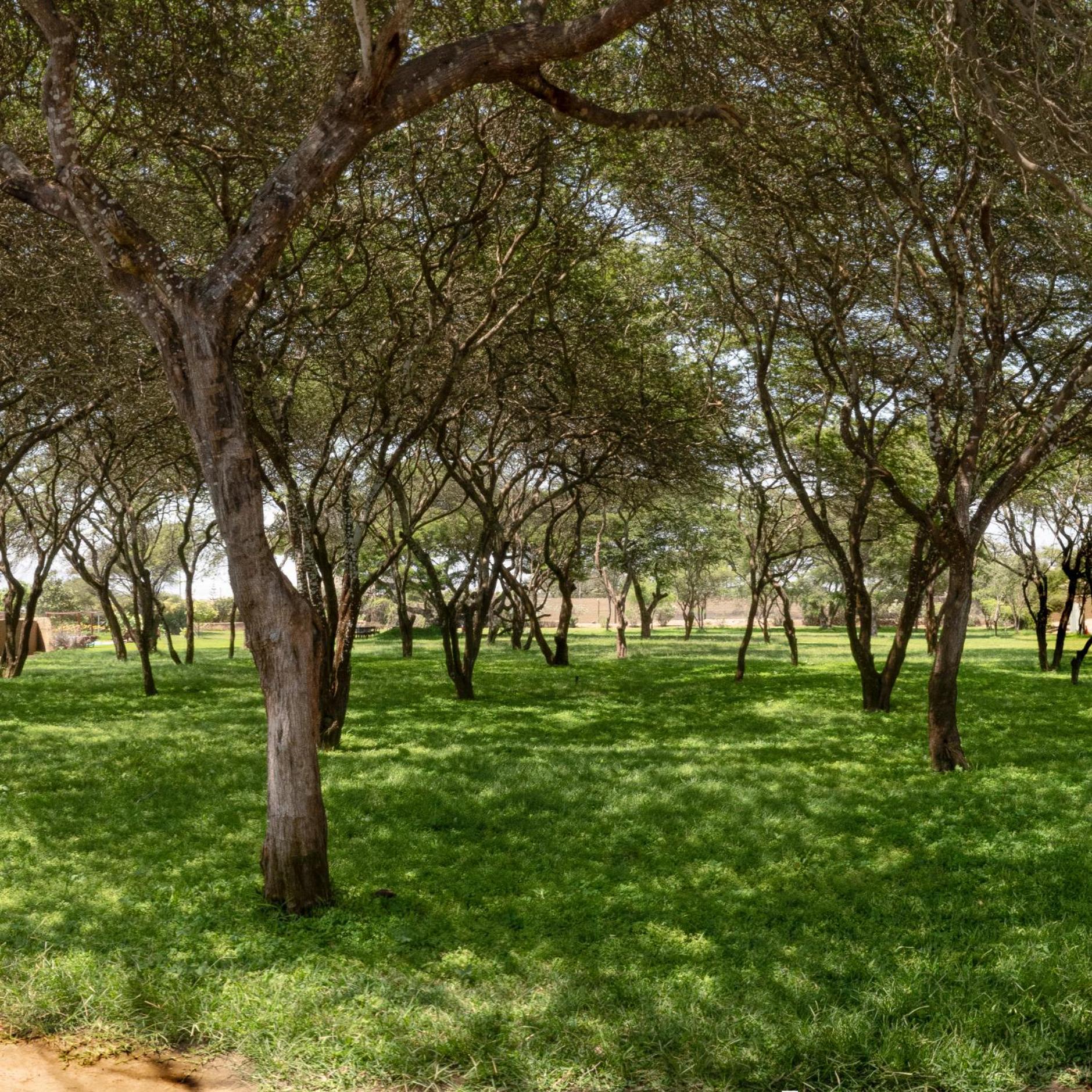 Lodge De Sol Y Barro Moche